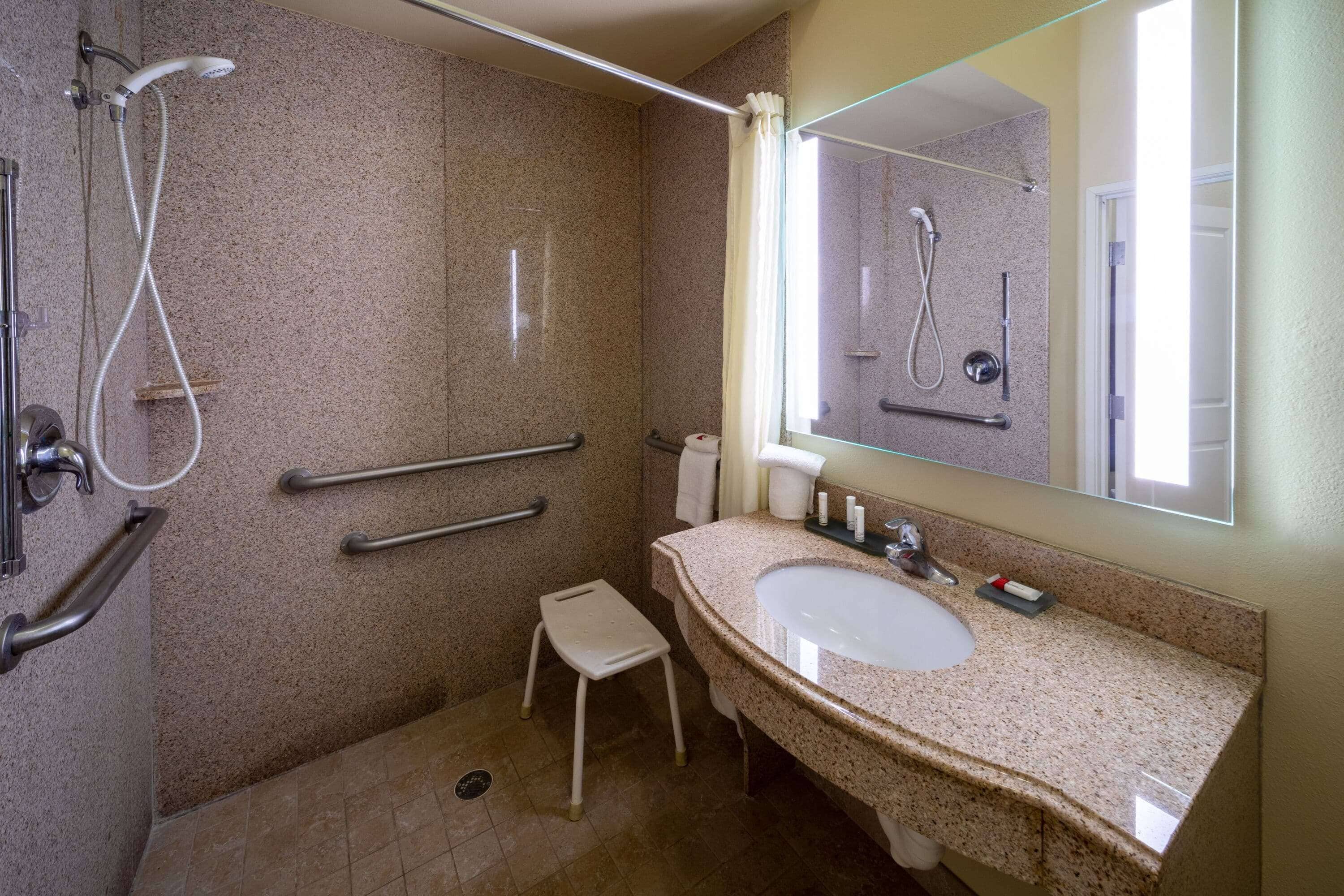 room, 1 king bed, accessible, non smoking (mobility,hearing,roll-in shower) | accessible bathroom