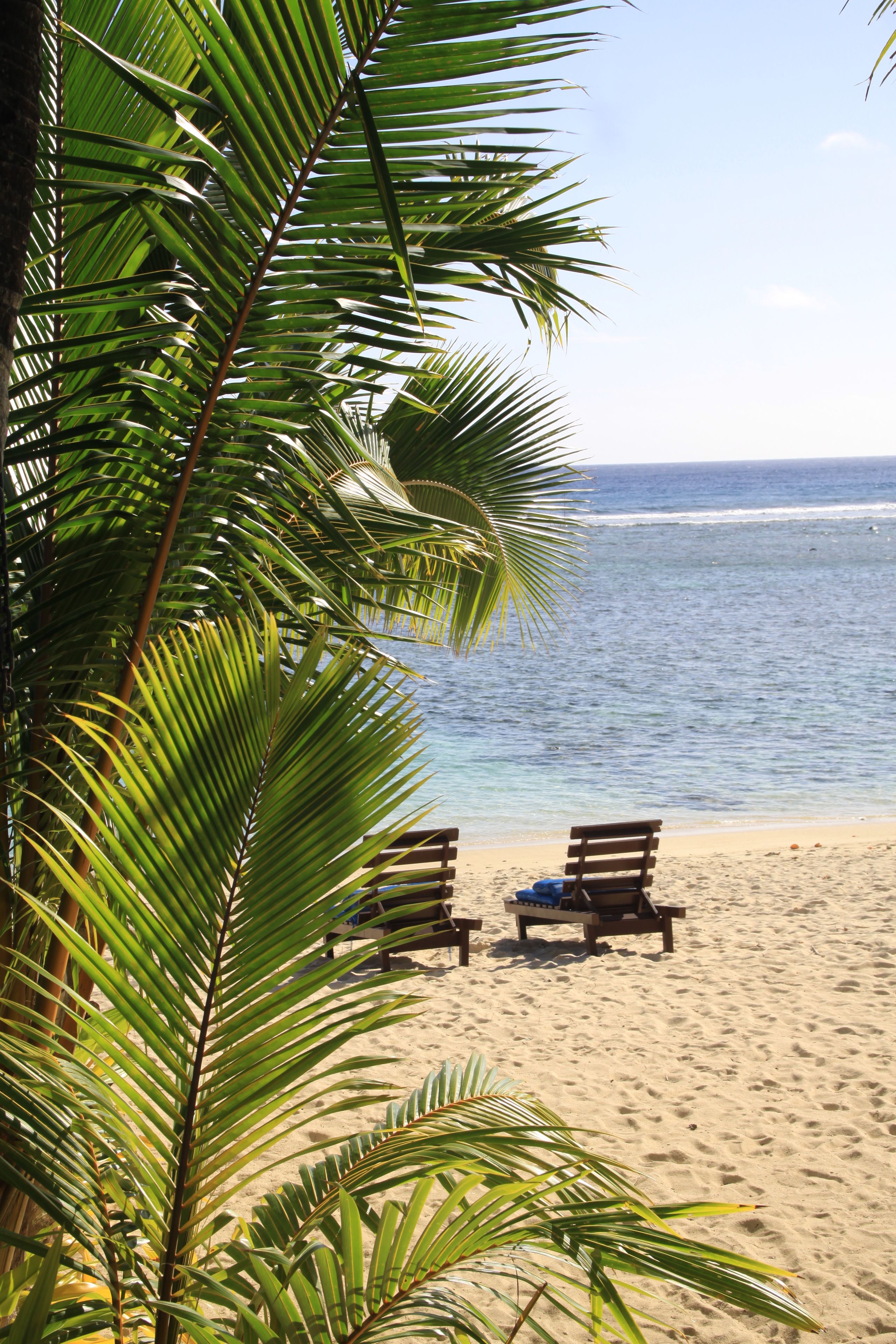 A beach with two wooden lounge chairs and a palm tree in the foreground.