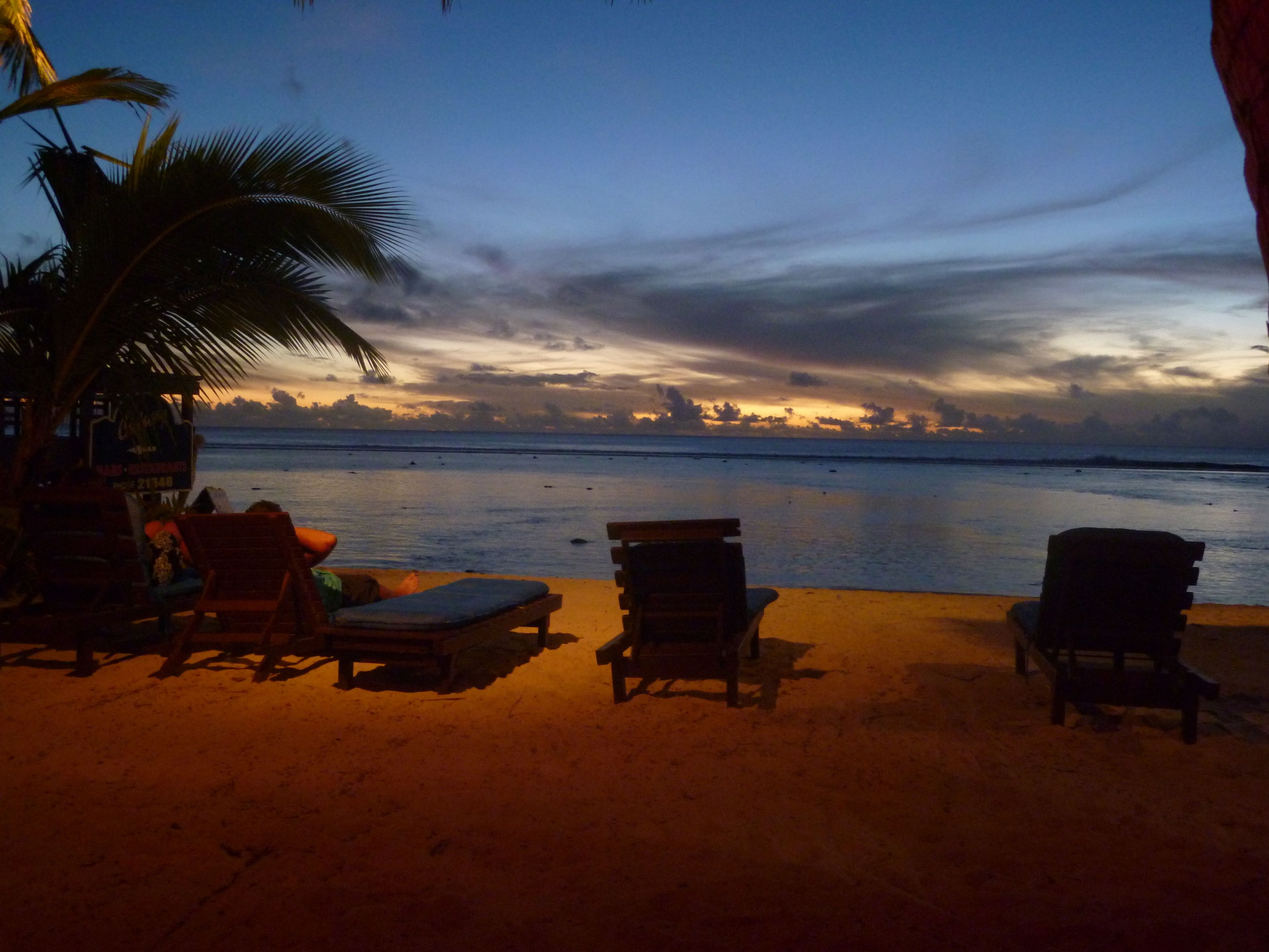 Une scène de plage avec des chaises longues et un palmier.