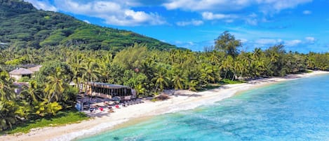 Dinner served, local and international cuisine, beach views
