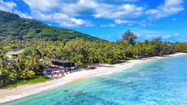 Dinner served, local and international cuisine, beach views  - Castaway Resort (Rarotonga)