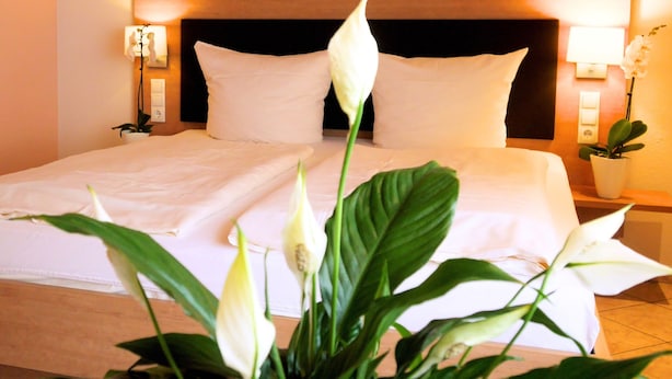 A hotel room with a large bed, white bedding, and a nightstand with a lamp. - Landgasthof zur Blume (Lichtenau-Scherzheim)