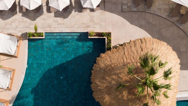 Vista aérea de una piscina rodeada de sillas de descanso y sombrillas, una sombrilla de paja y plantas en macetas.