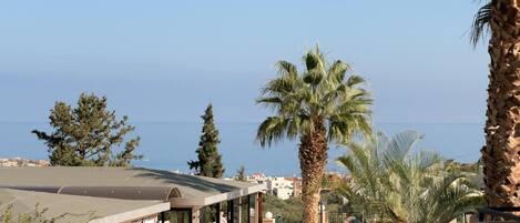 A pool area with a palm tree, a covered seating area, and a view of the sea.