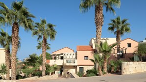 Zona residencial con palmeras y casas de techos rojos.