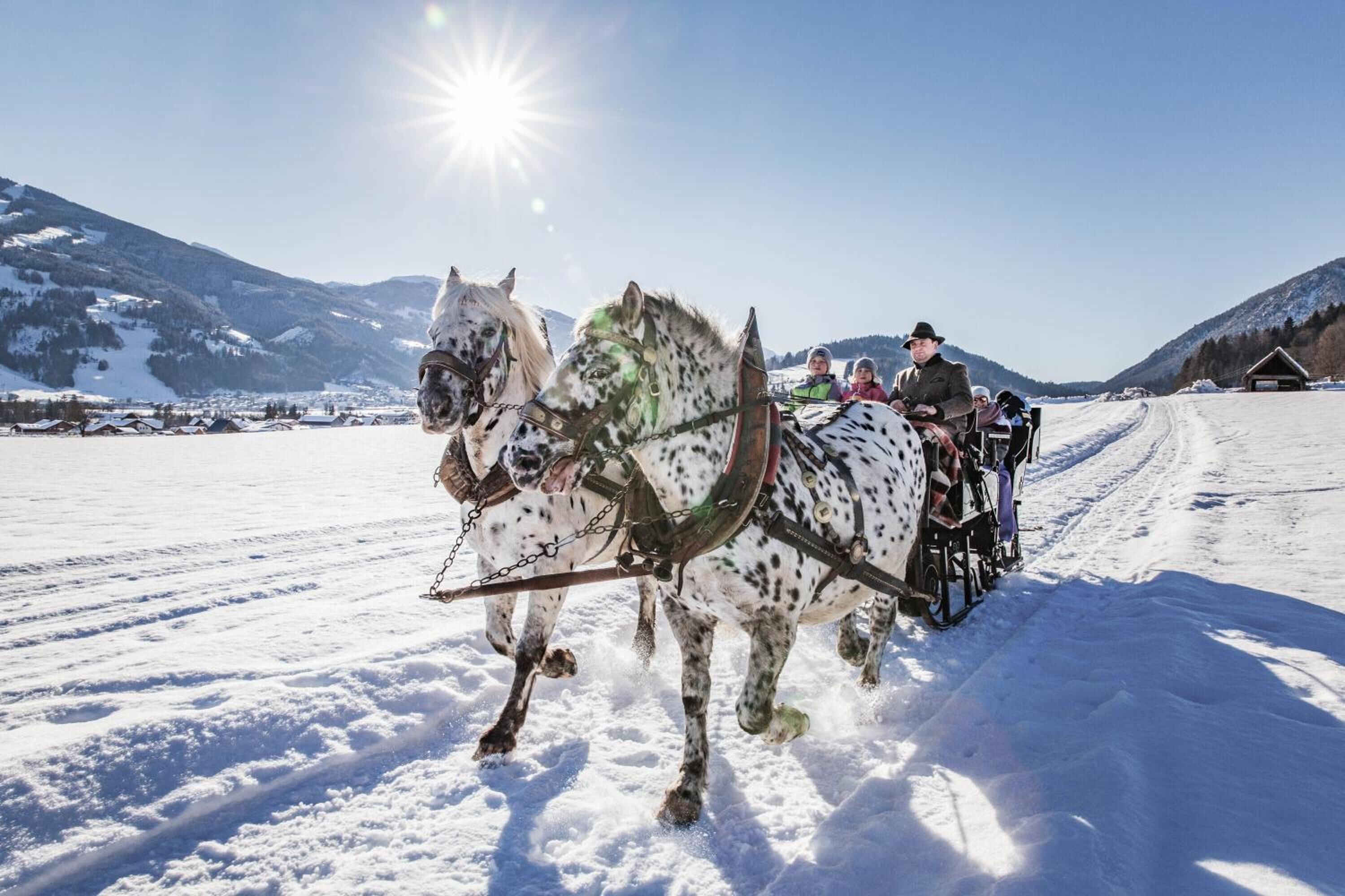 A horse-drawn sleigh on a snowy path with mountains in the background.