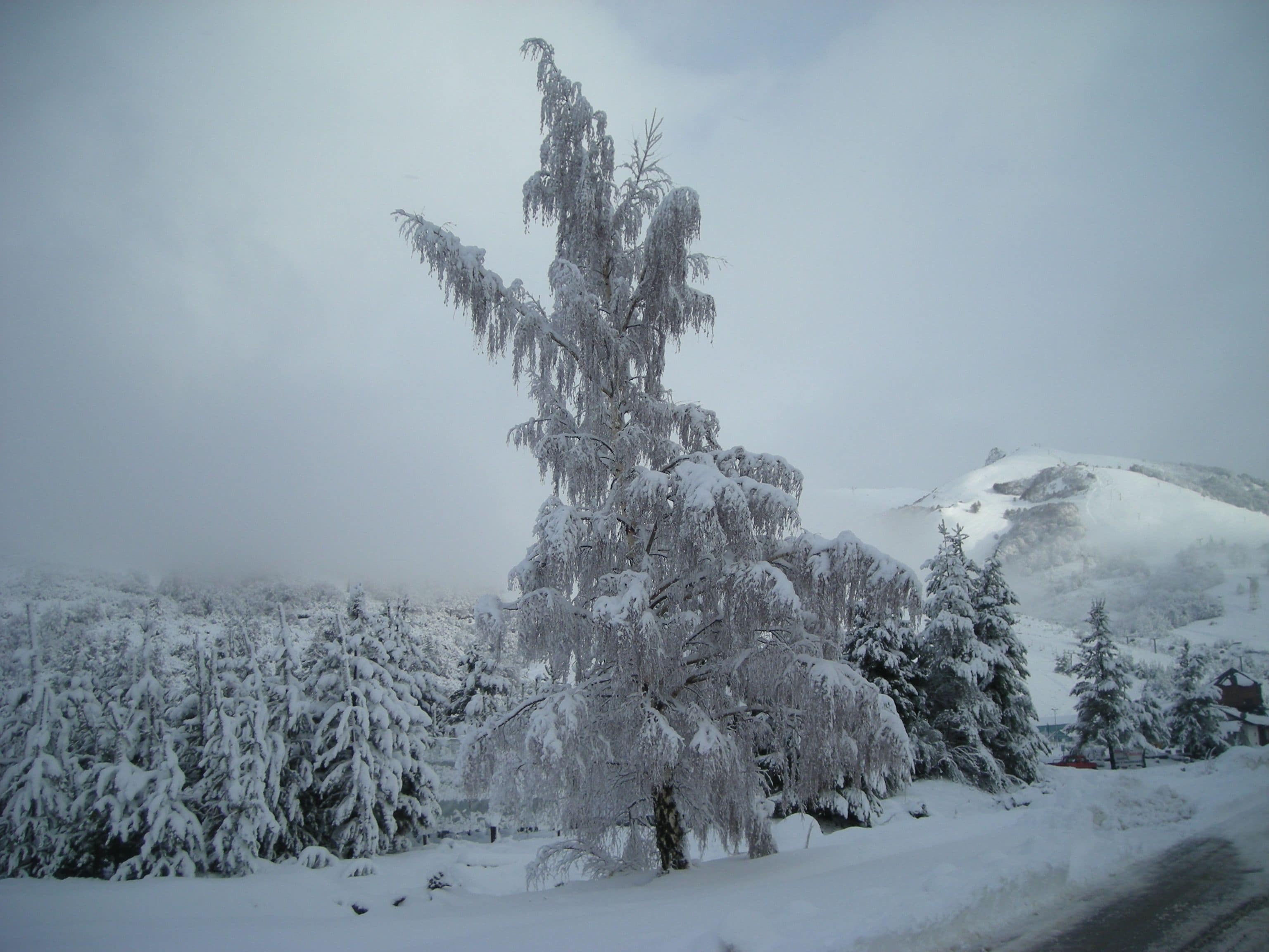 Photo - Galileo Boutique Hotel