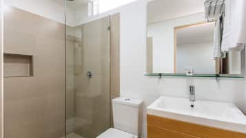 Ducha, secador de pelo, toallas, jabĂłn