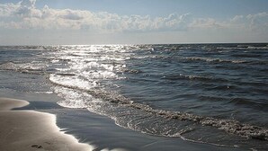 Ein Strand mit sanft anschwellenden Wellen unter blauem Himmel.