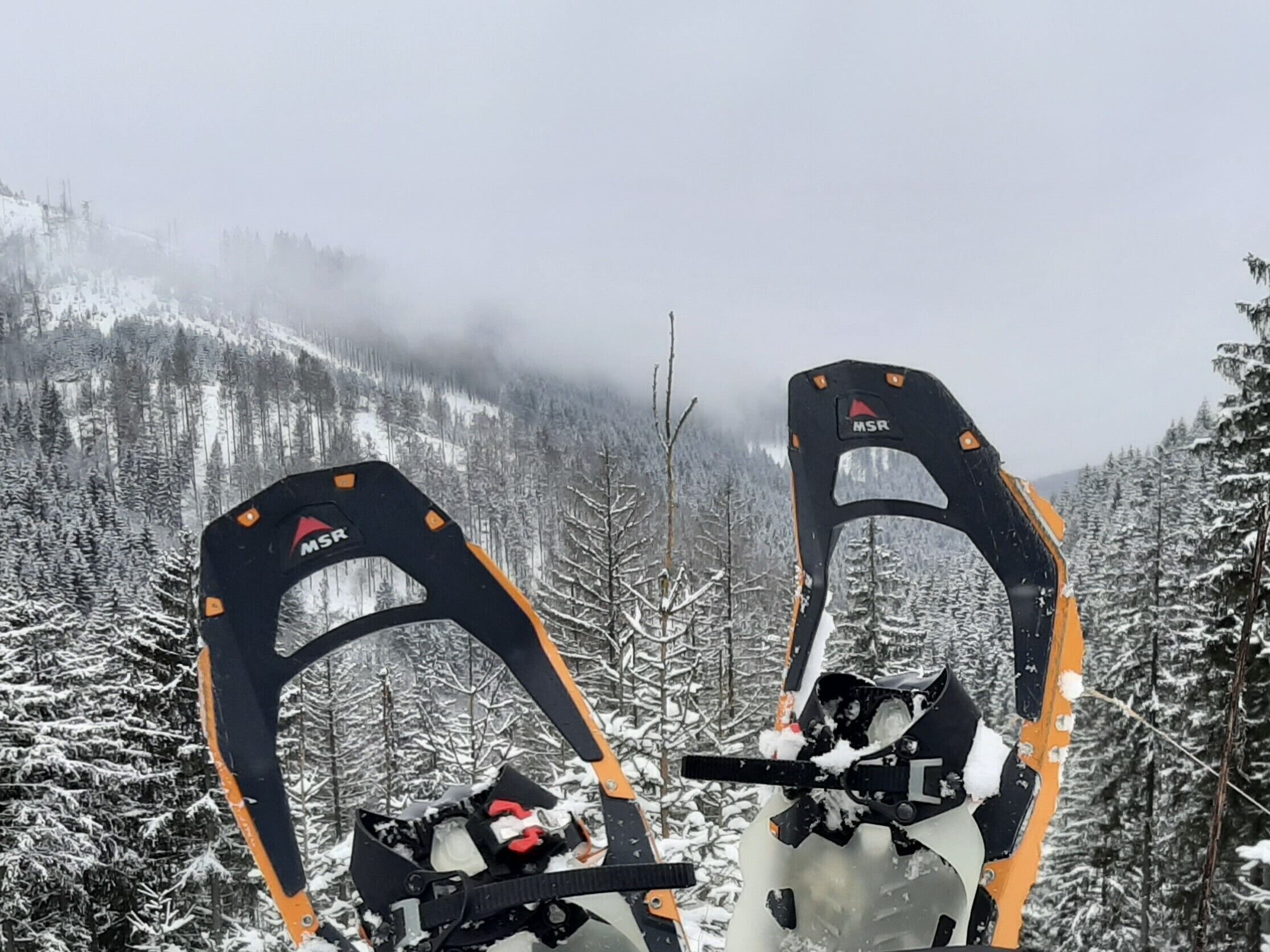 snowshoeing
