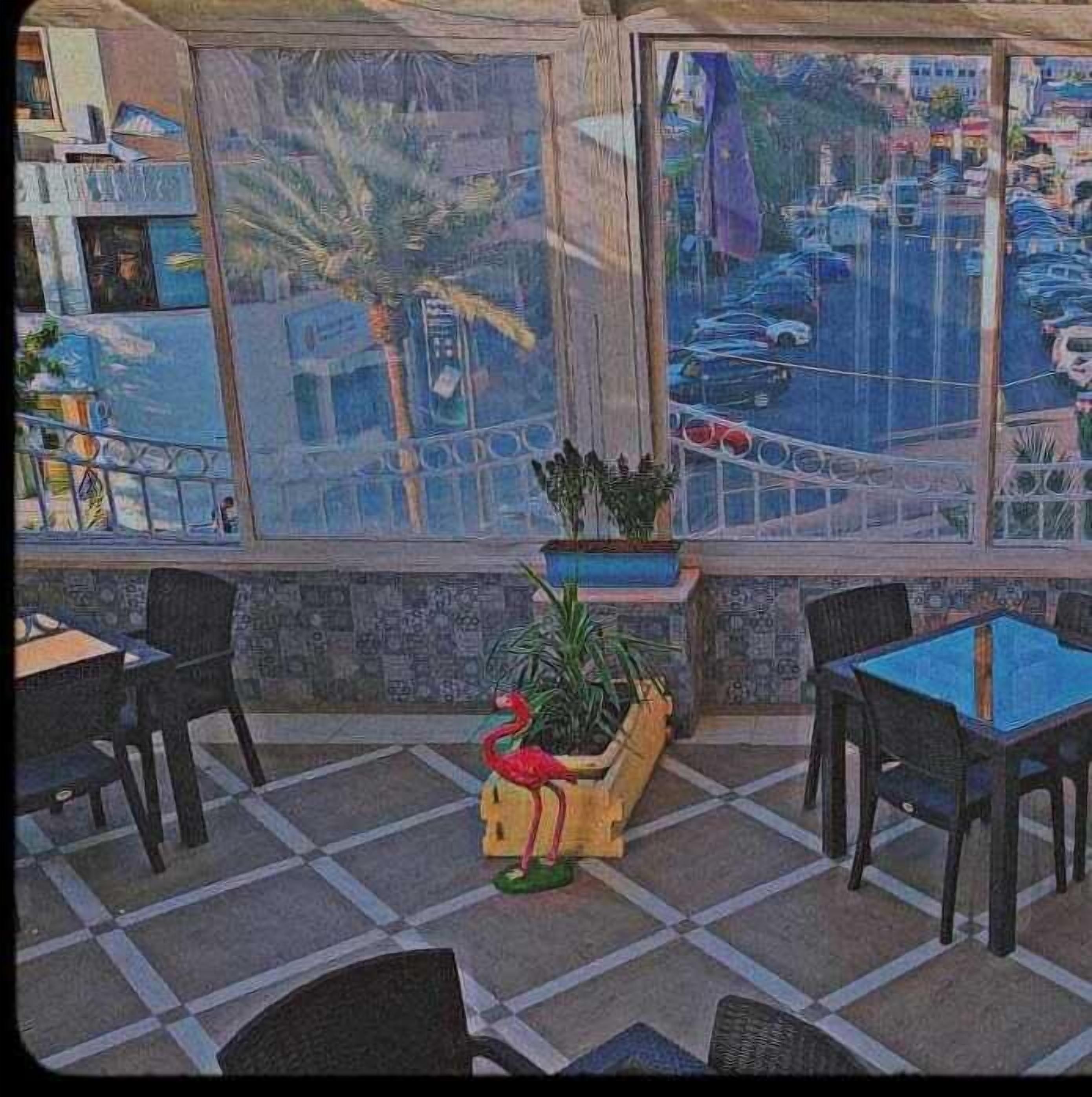 A cafe with large windows, outdoor seating, and a decorative plant.