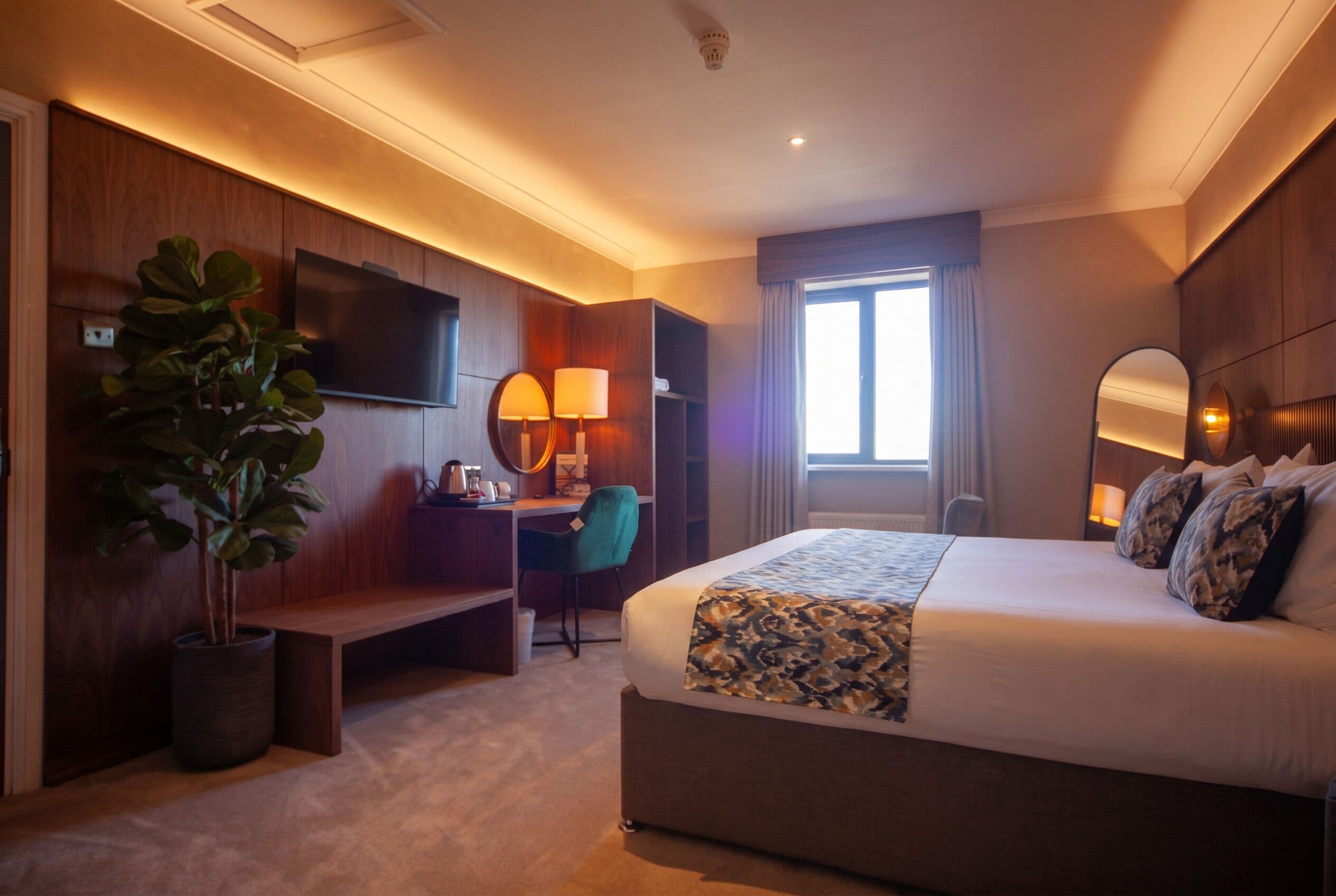 Quarto de hotel com cama, escrivaninha, cadeira, televisão e uma grande planta em vaso, além de uma janela.