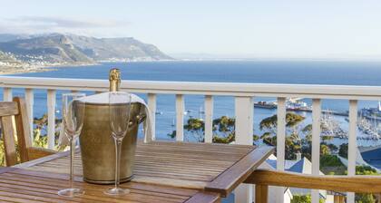 Albatross Guest House