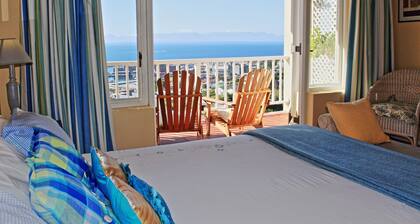 Albatross Guest House