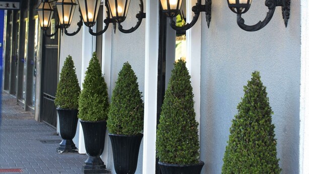 Una fila de lámparas tipo farol y plantas topiarias a lo largo de la fachada de un edificio.