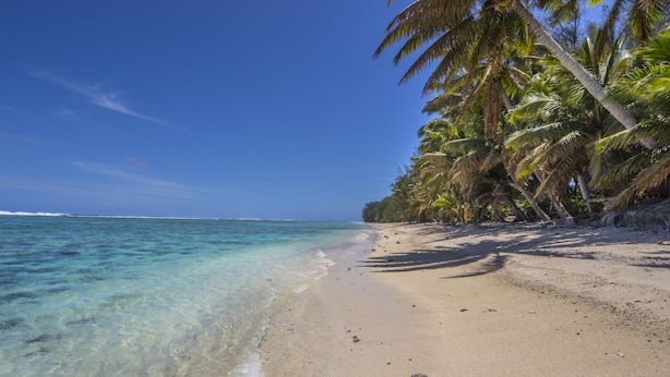 A beach with clear turquoise water, sandy shore, and palm trees. - Lagoon Breeze Villas (Rarotonga)