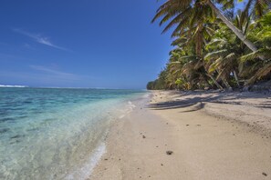 A beach with clear turquoise water, sandy shore, and palm trees.
