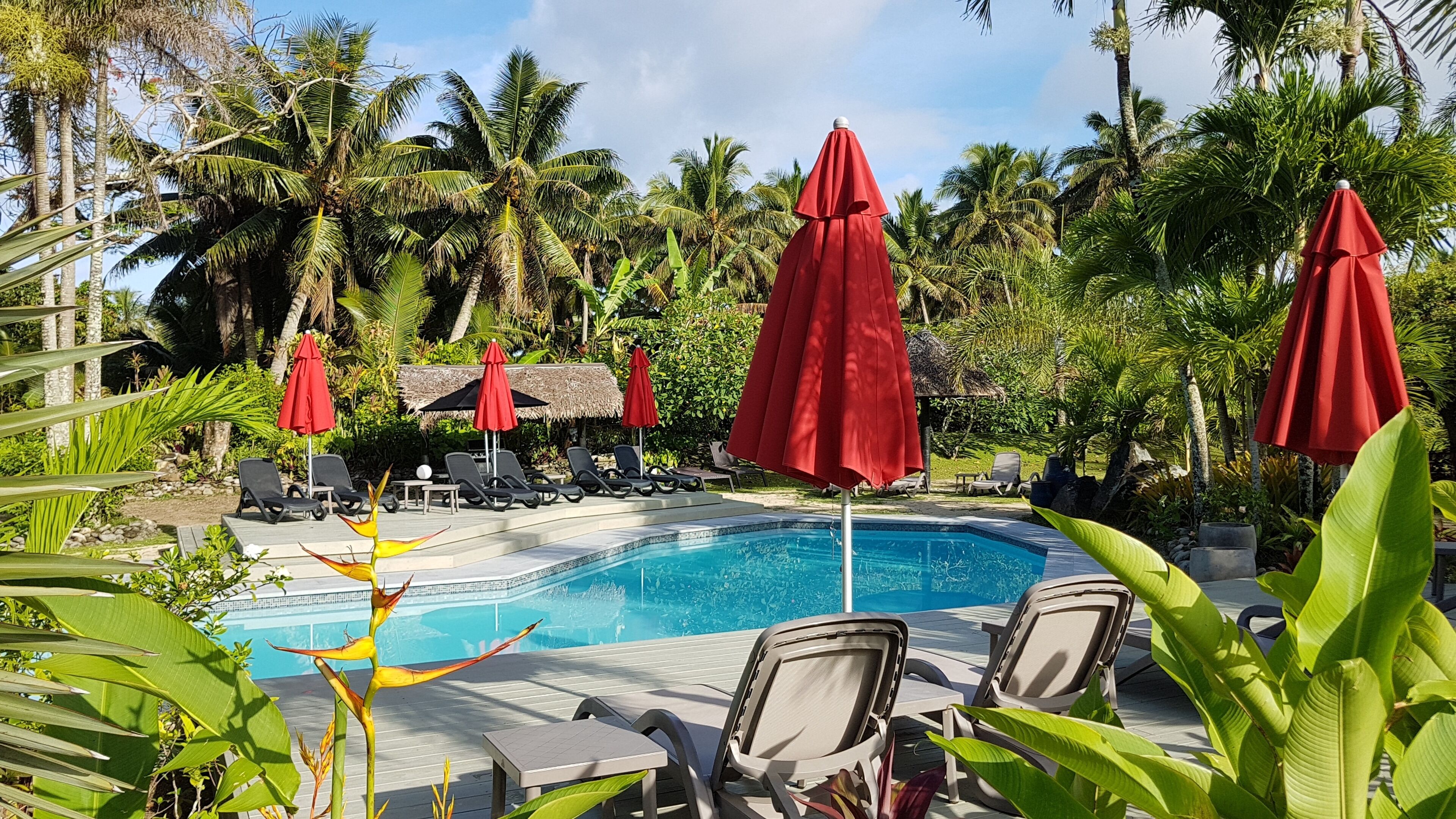 A pool area with lounge chairs and red umbrellas, surrounded by palm trees and tropical plants.