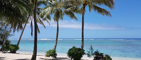 Playa en los alrededores, playa de arena blanca, snorkel y kayaks 