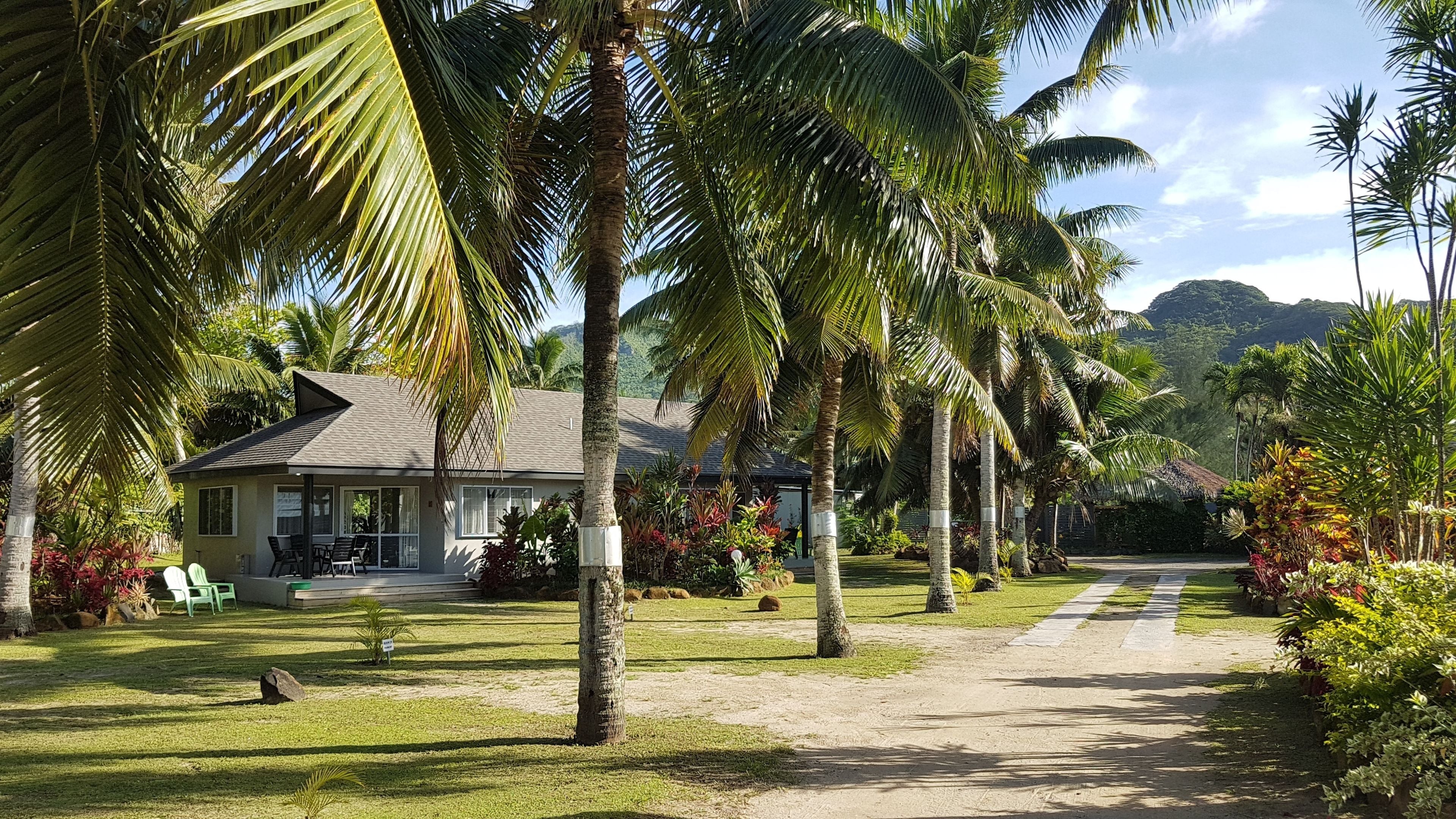 studio, garden view | garden
