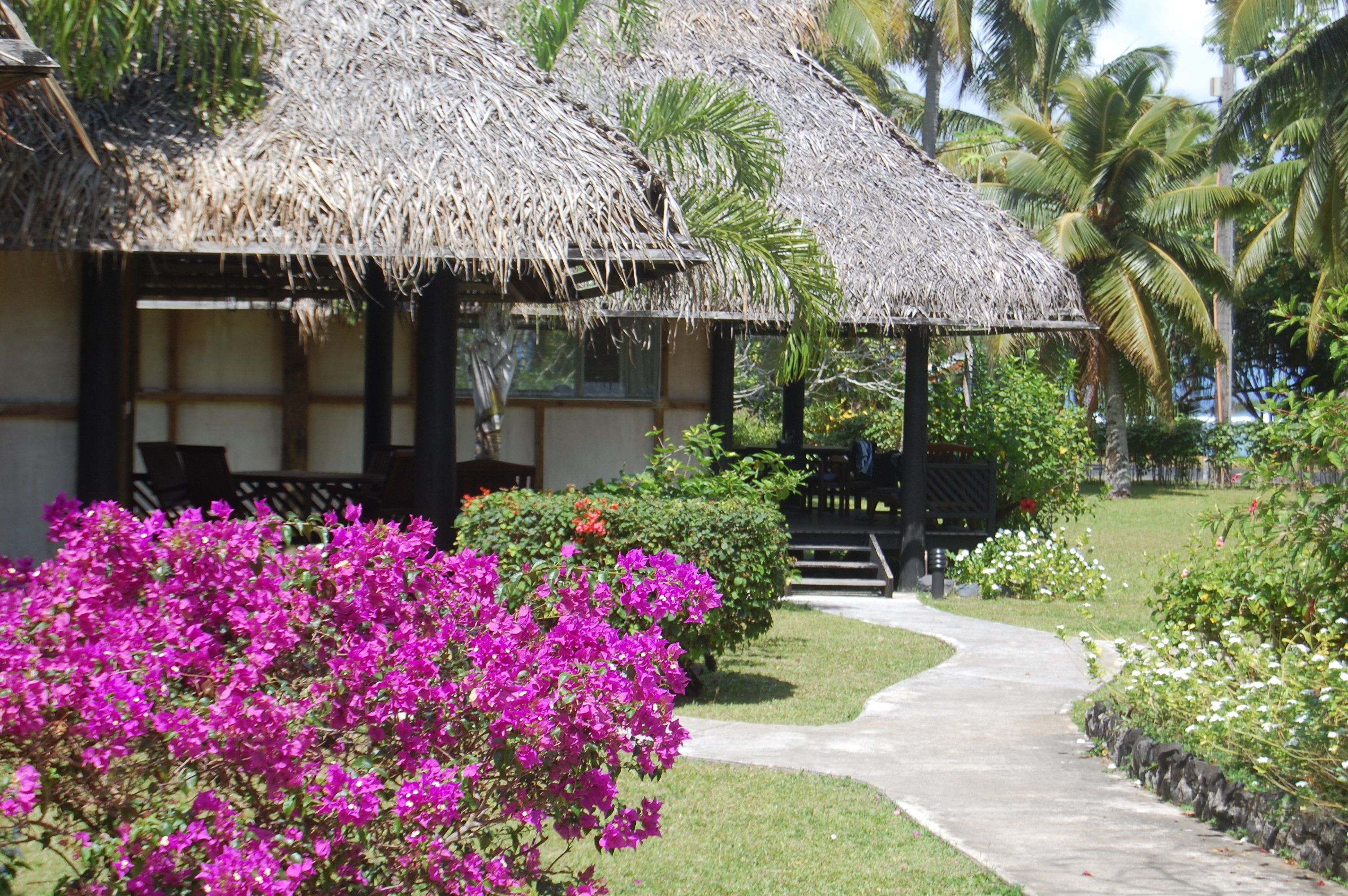 A traditional thatched-roof structure with a garden pathway leading to it.