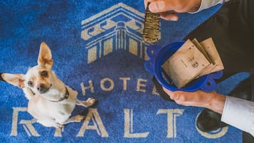 Een hond zit op een blauw tapijt, waar de woorden 'HOTEL' en 'MALTO' te zien zijn.