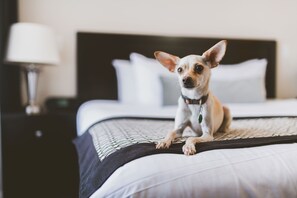 Premium bedding, pillow-top beds, desk, blackout curtains - Hotel Rialto (Victoria)