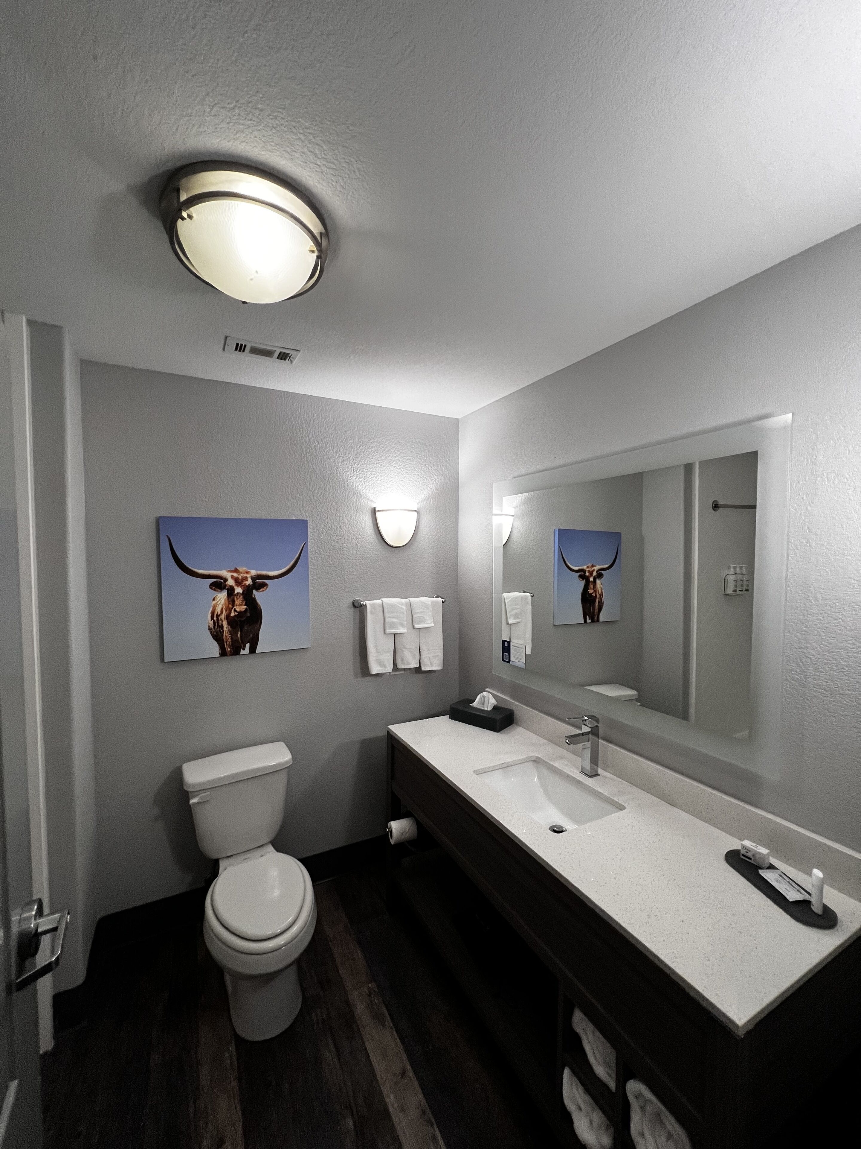 combined shower/bathtub, free toiletries, hair dryer, towels