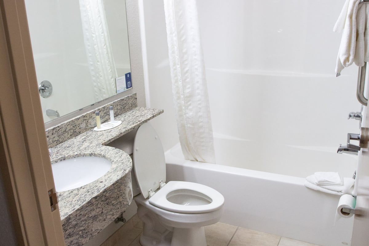 combined shower/bathtub, free toiletries, hair dryer, towels