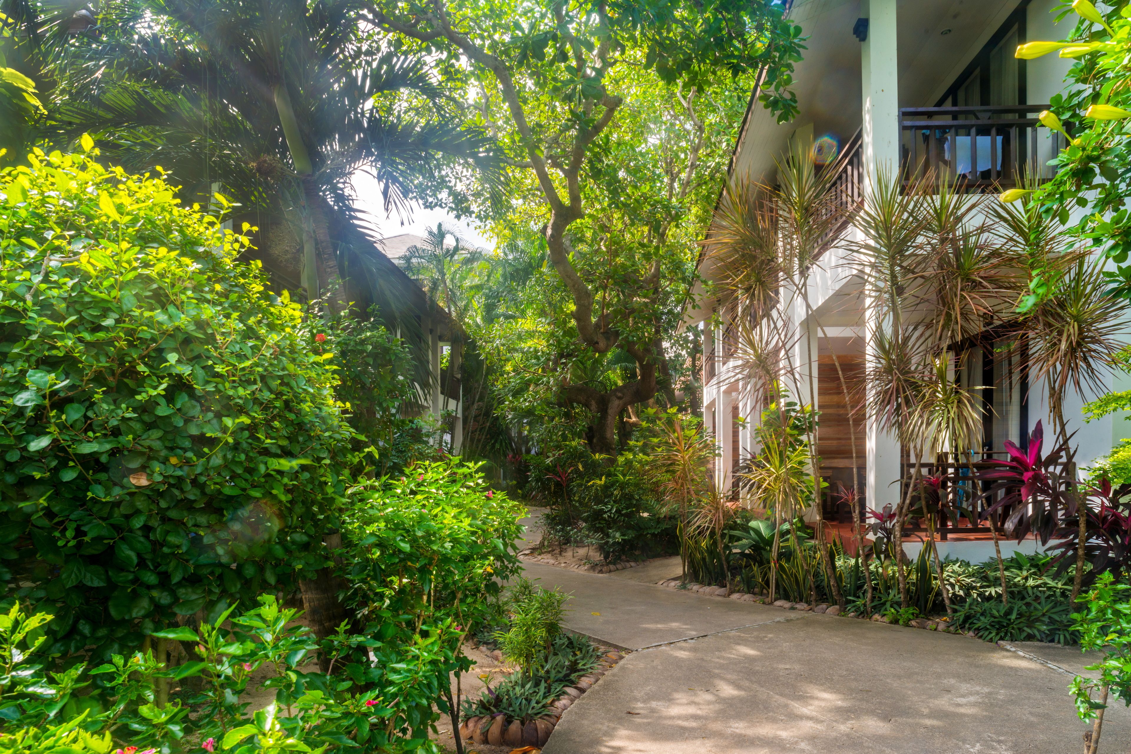 deluxe room, sea view (room only) | garden view