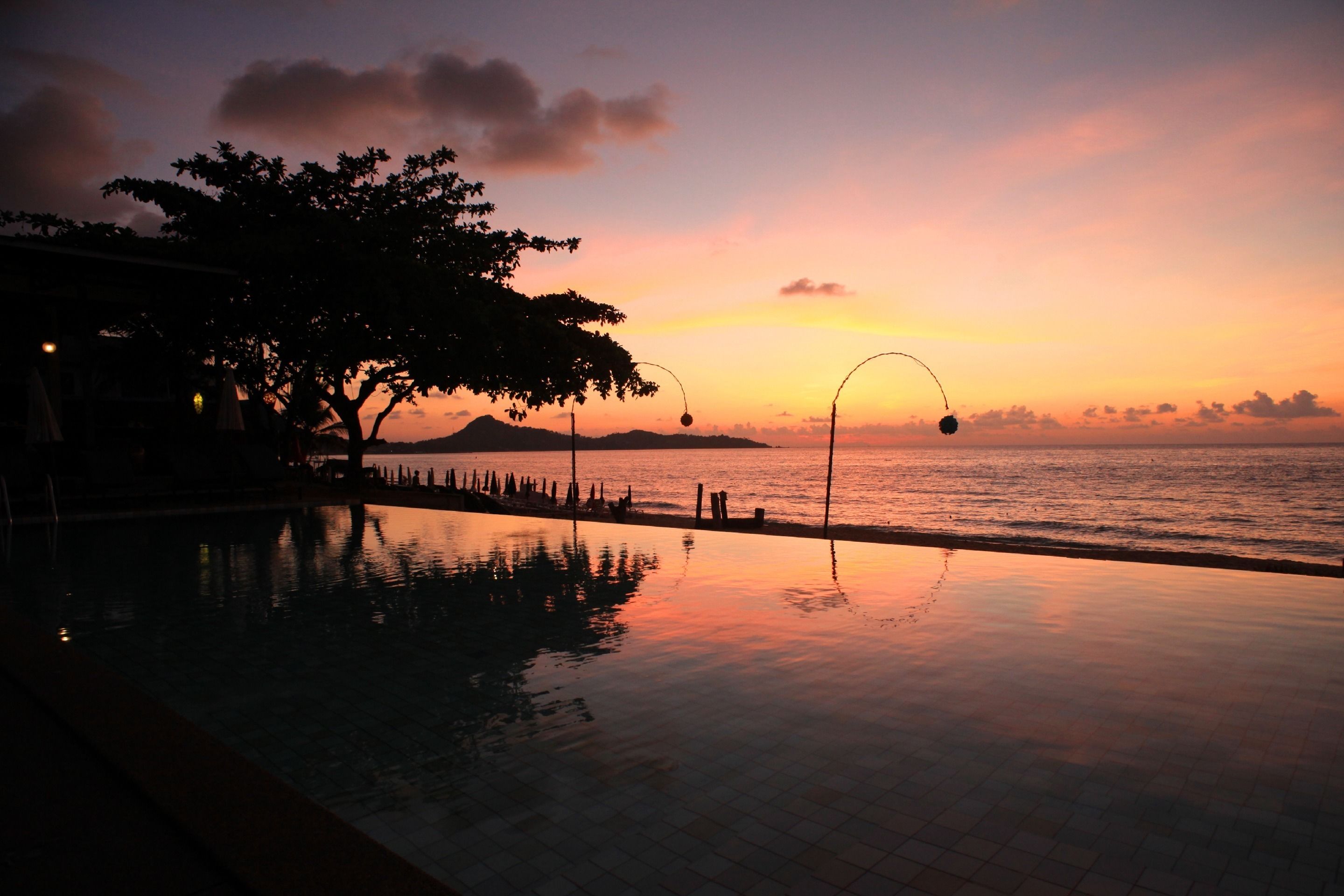 A serene poolside view at sunset with a tree and lamp posts.