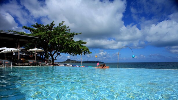 A clear pool with a view of the ocean and a tree. - The Hive Hotel Samui (Koh Samui)