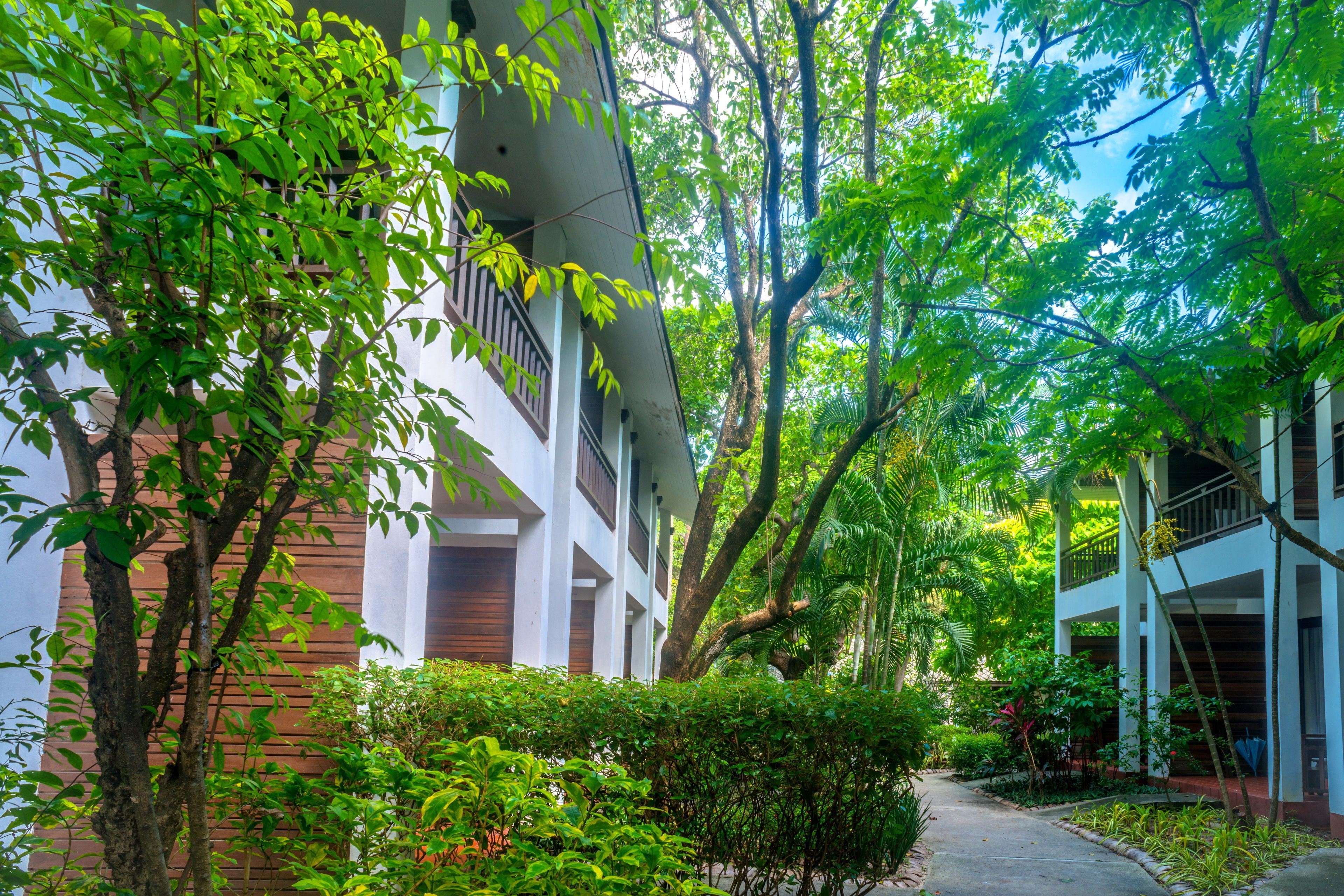 Foto - The Hive Hotel