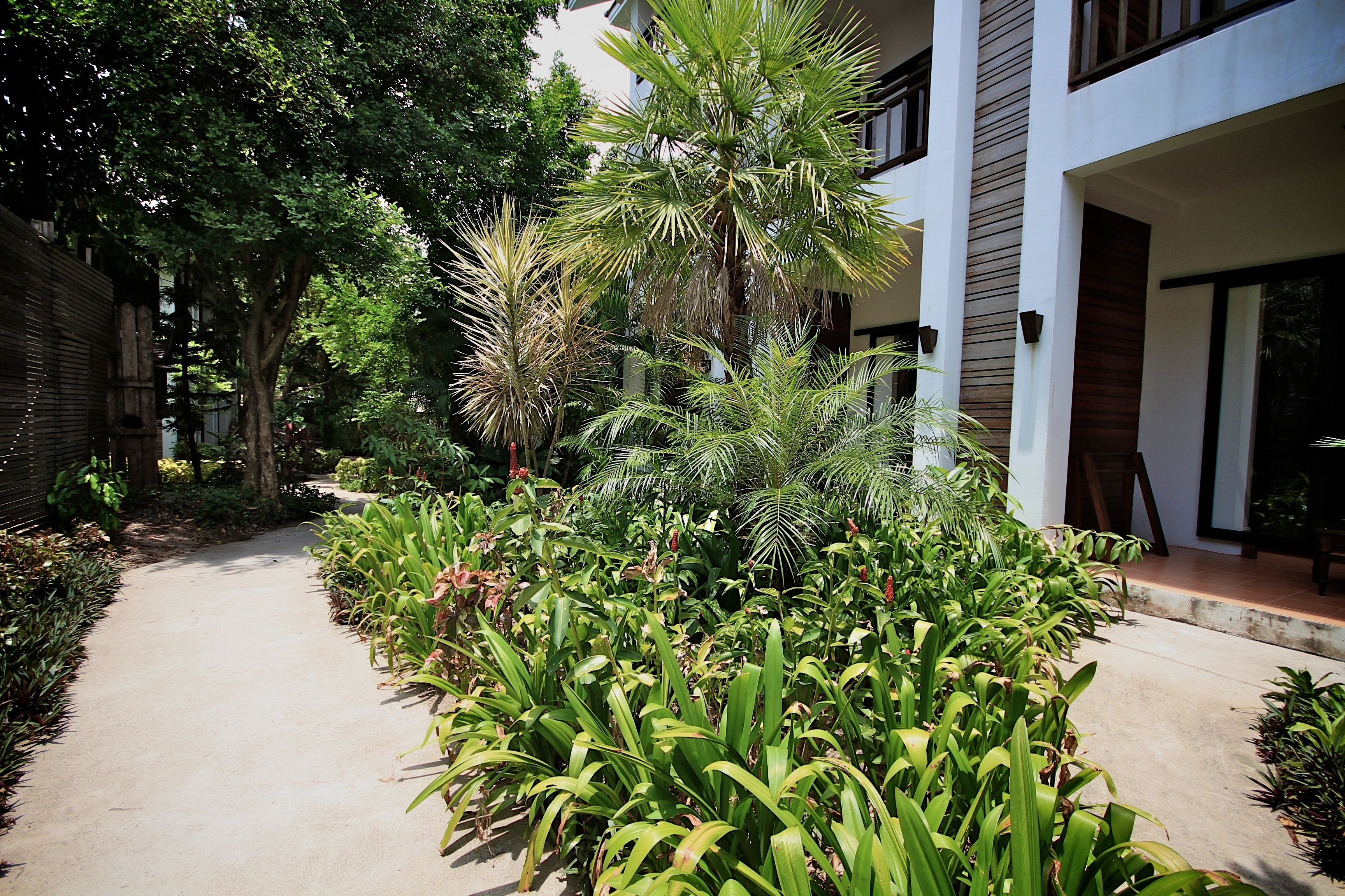 テラス / パティオ