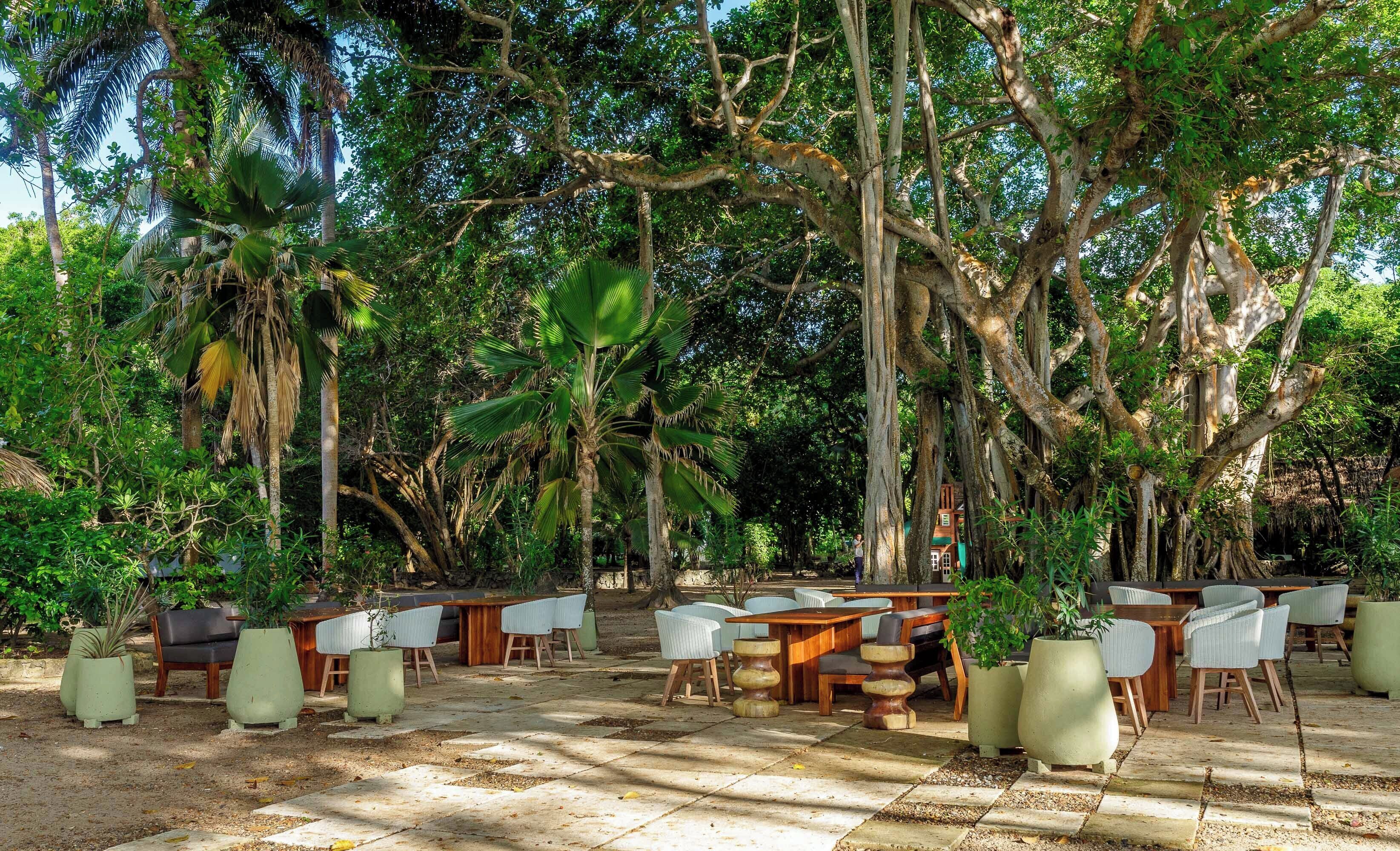 Serveert ontbijt, lunch, internationale gerechten, uitzicht op de zee 