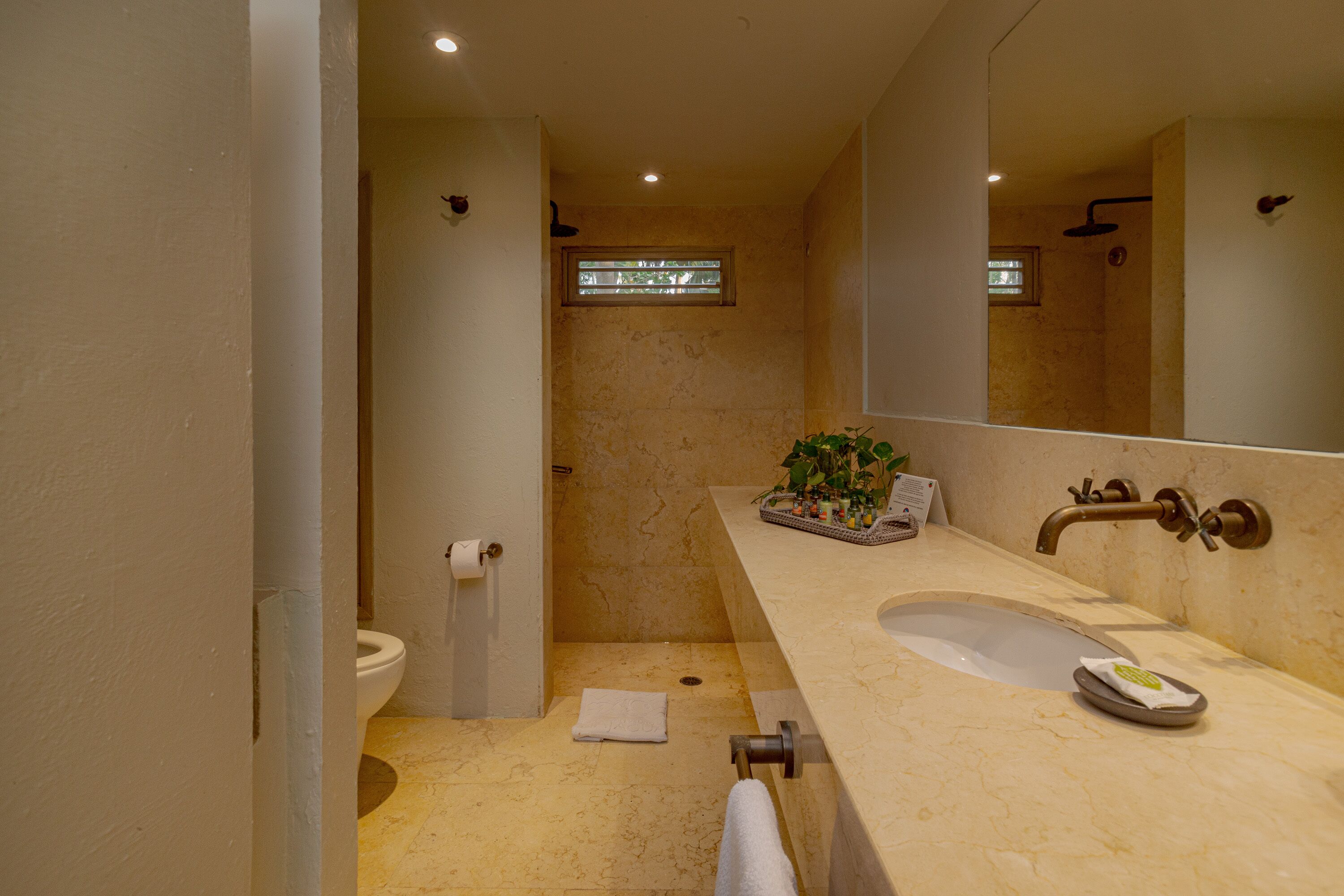 shower, free toiletries, hair dryer, bathrobes