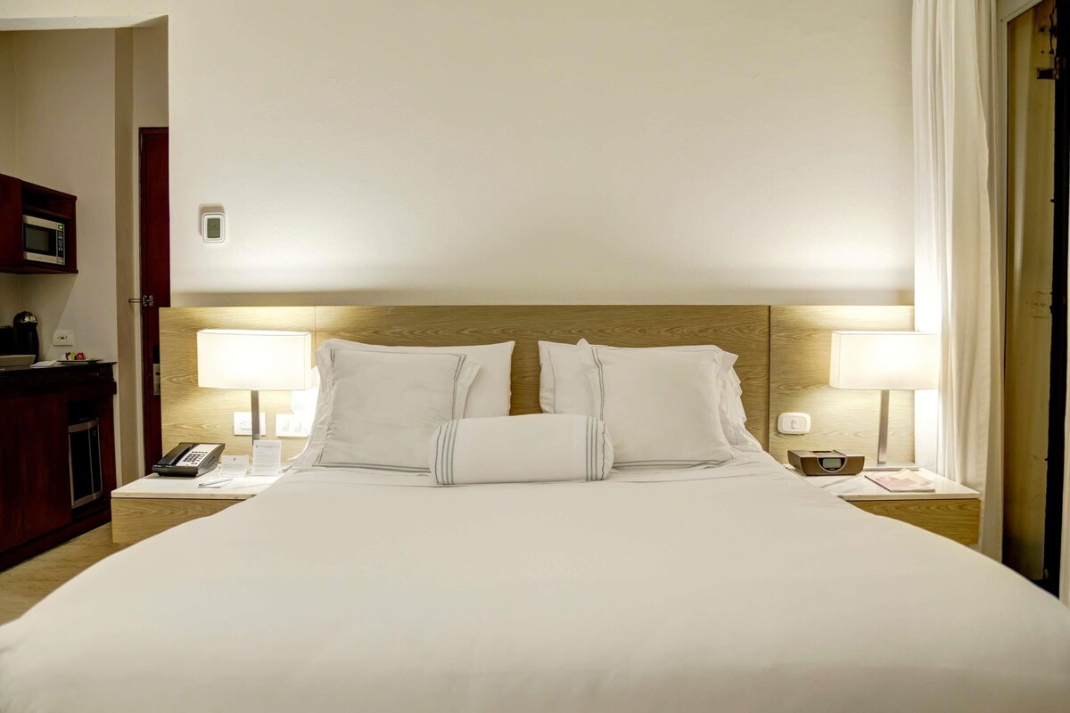 Habitación Deluxe, 1 cama Queen size | Ropa de cama de alta calidad, edredón y minibar 