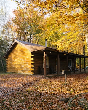 Cabin, 2 Bedrooms