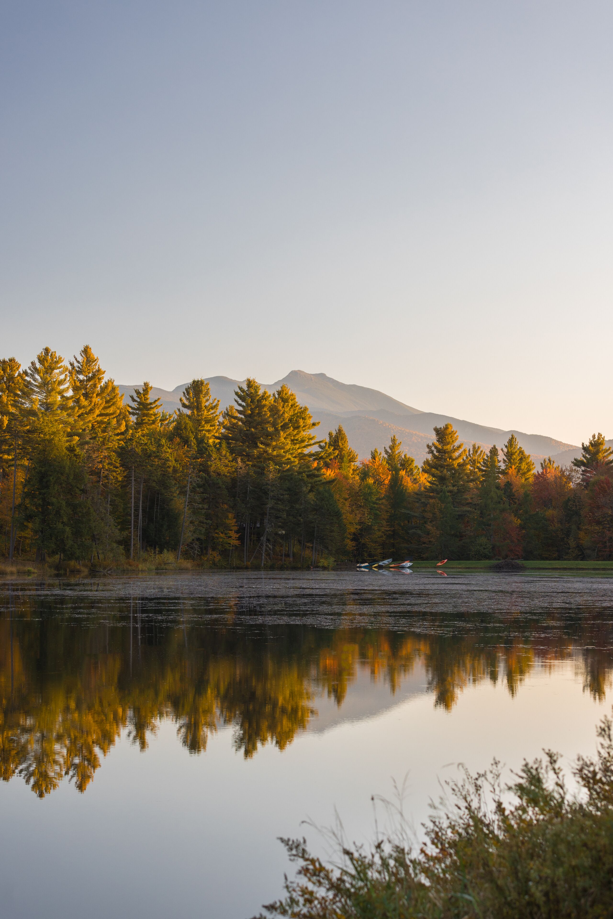 A calm lake with reflections of trees and a mountain in the background.