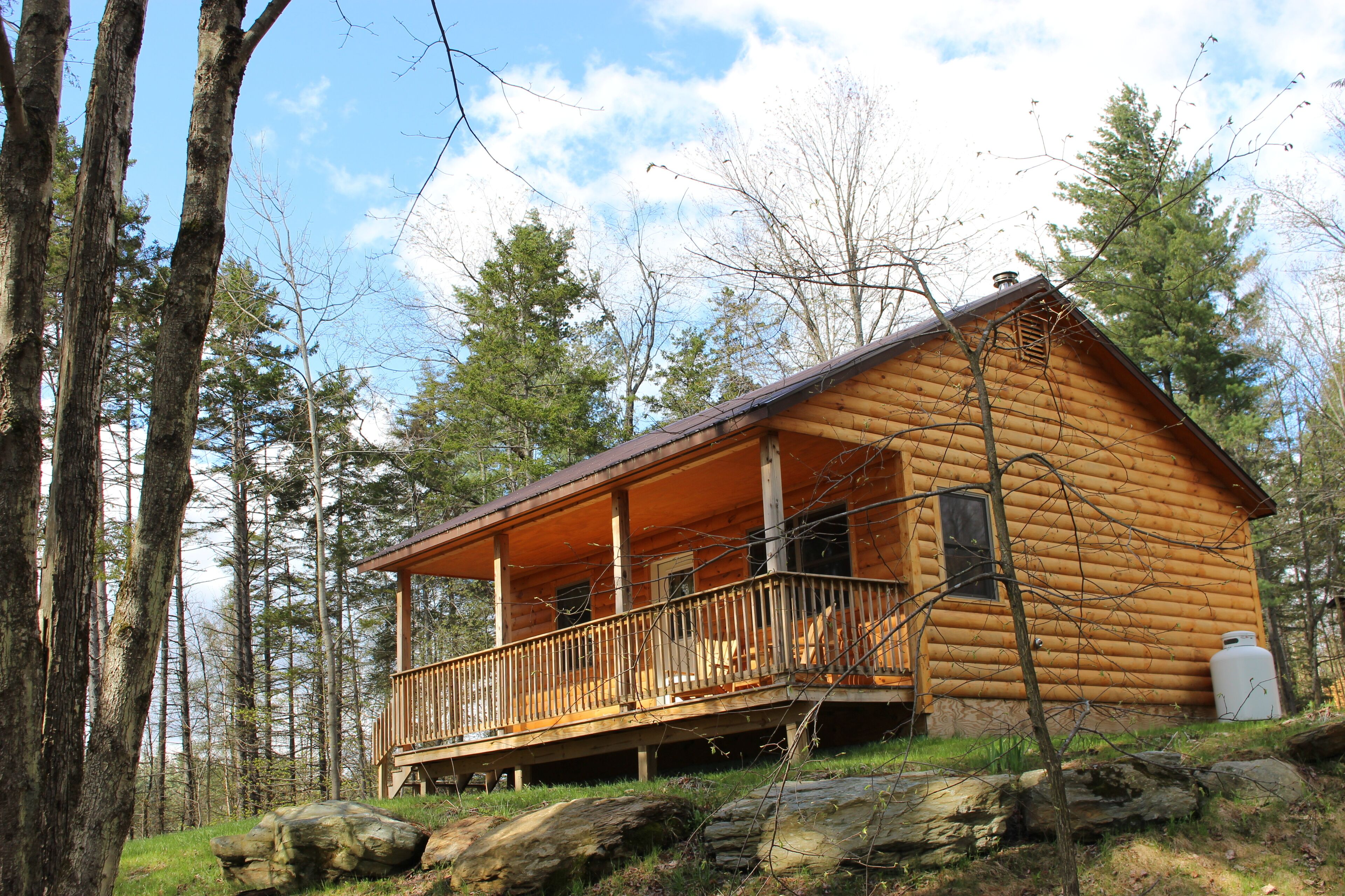 cabin, 1 bedroom | down duvets, individually decorated, individually furnished