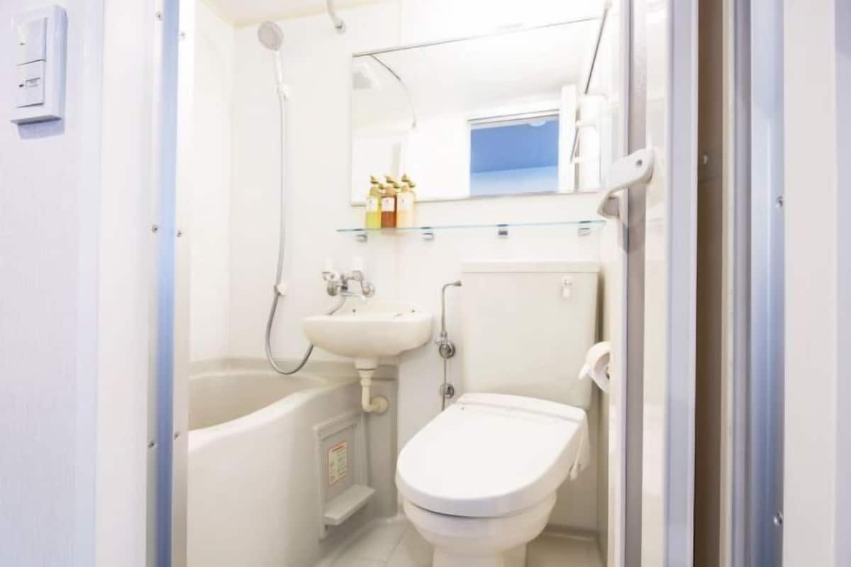 Combined shower/bathtub, free toiletries, hair dryer, slippers
