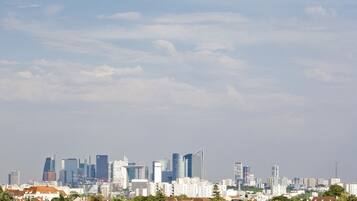 A city skyline with modern high-rise buildings and residential houses with red-tiled roofs.