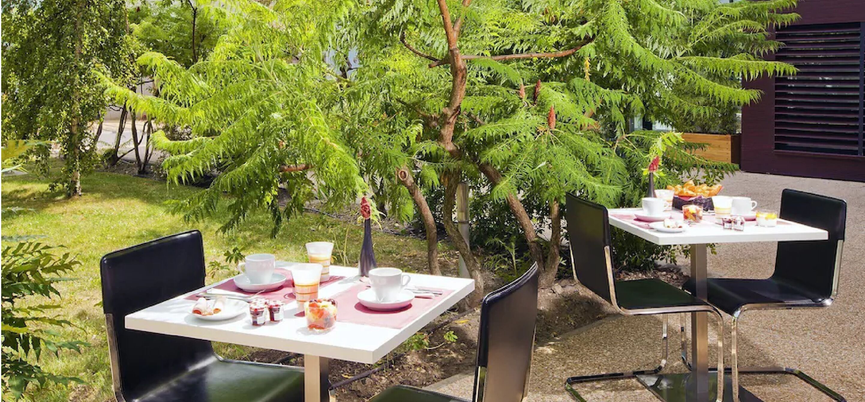 Un espacio de comedor al aire libre con mesas y sillas, rodeado de follaje y árboles.
