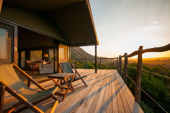 View from room - HillsNek Safari Camp - Amakhala Game Reserve (Sidbury)
