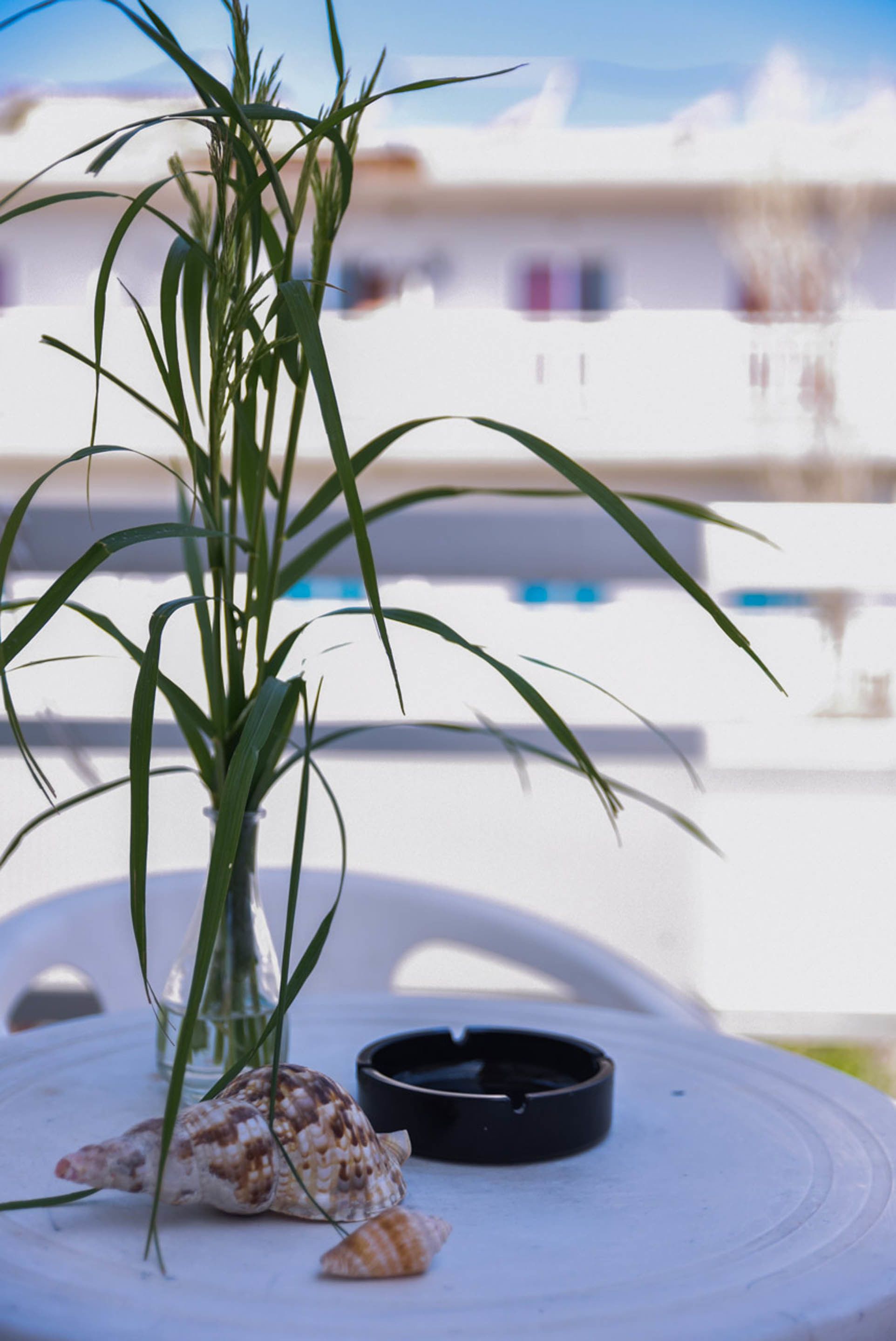 Photo - Amaryllis Hotel