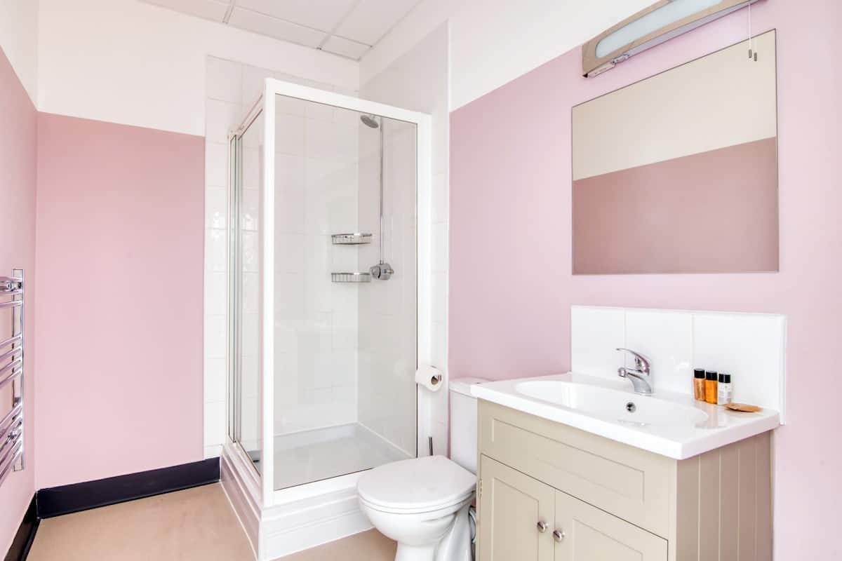 Hair dryer, soap, shampoo