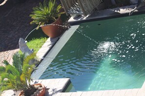 Piscina com água cristalina, rodeada por plantas em vasos e um caminho de pedra.