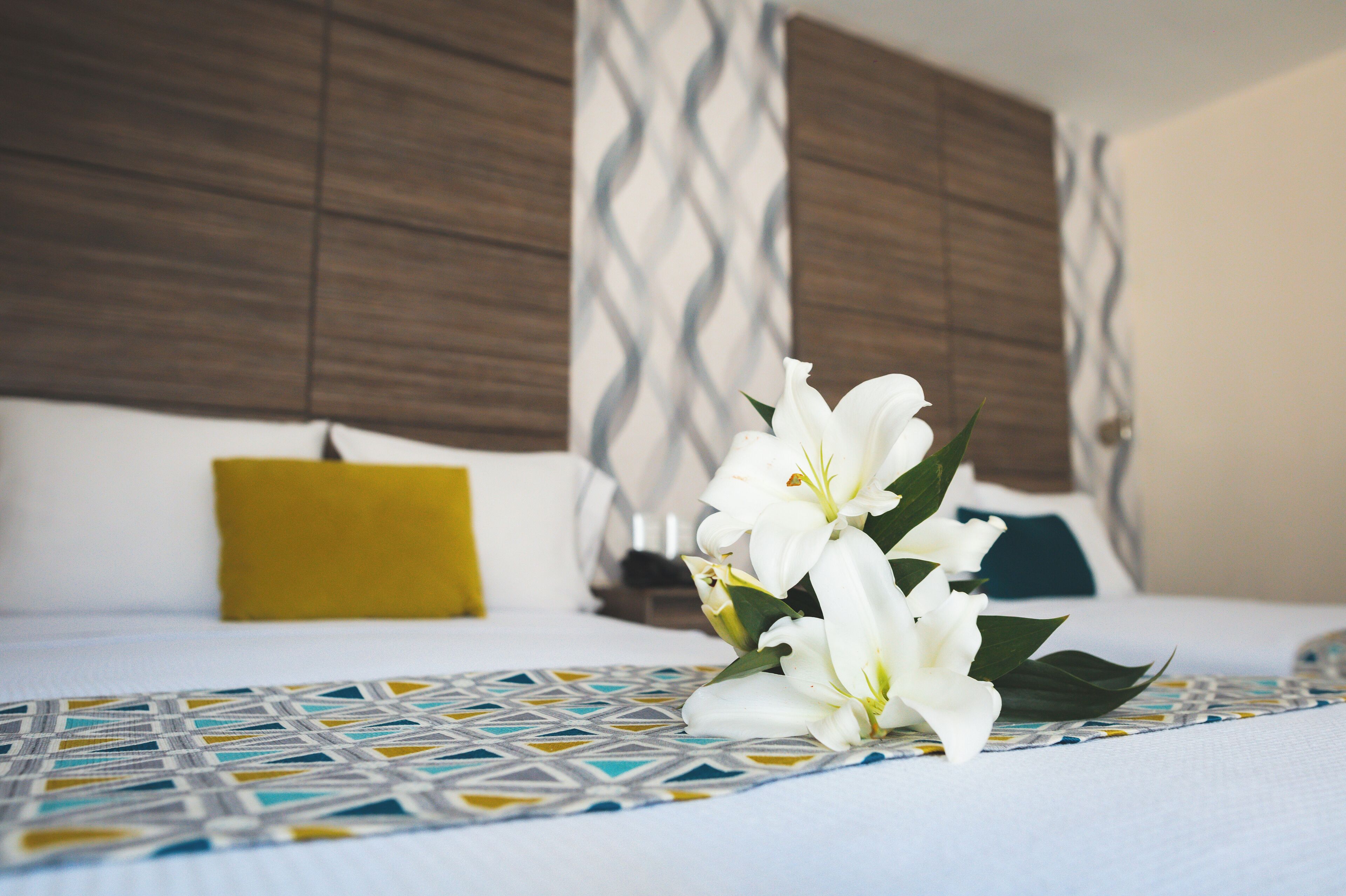 Photo - Hotel Expo Abastos