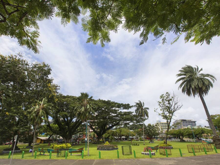 A park with benches, palm trees, and a clear sky.