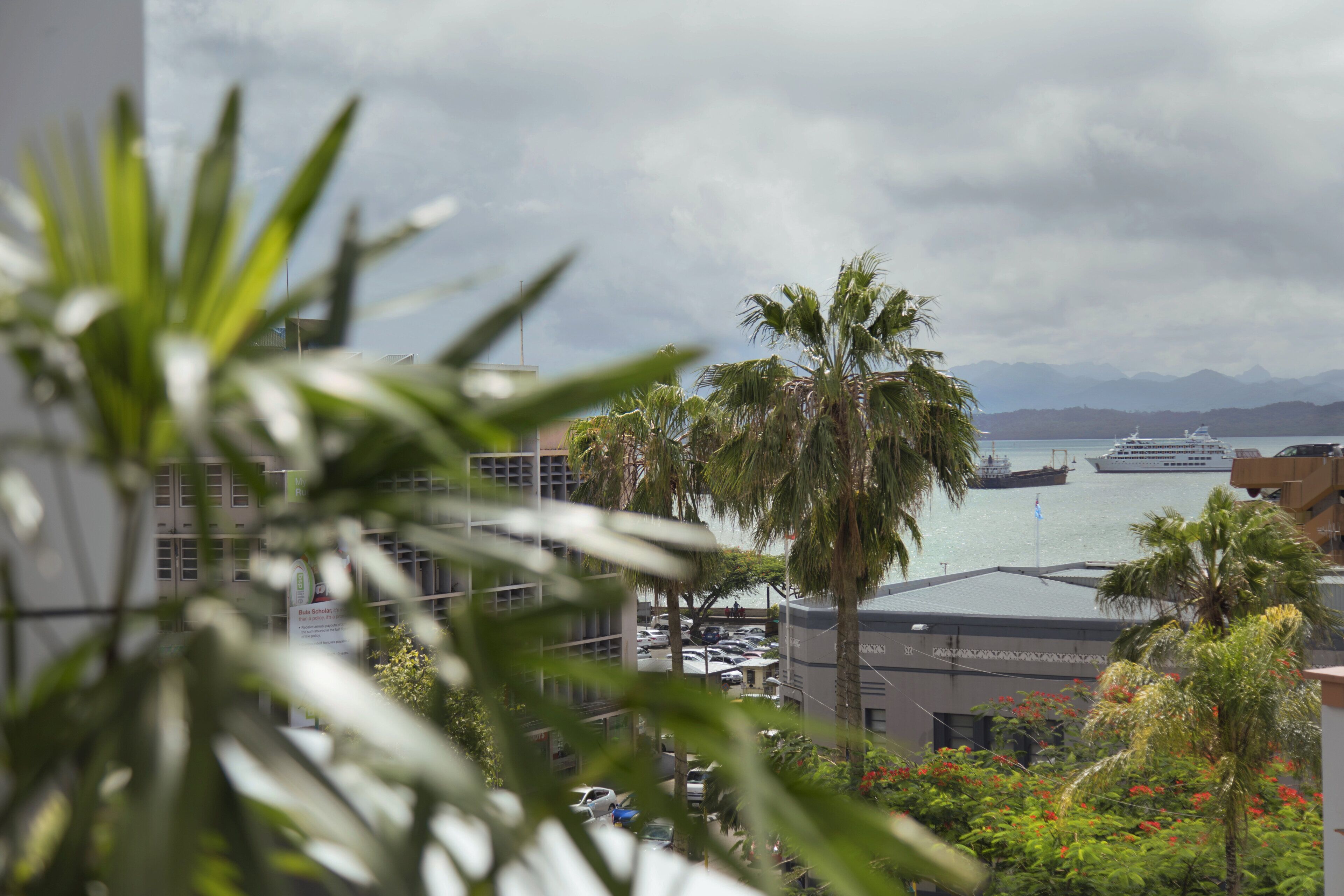 A view of a marina with boats, palm trees, and buildings in the background.